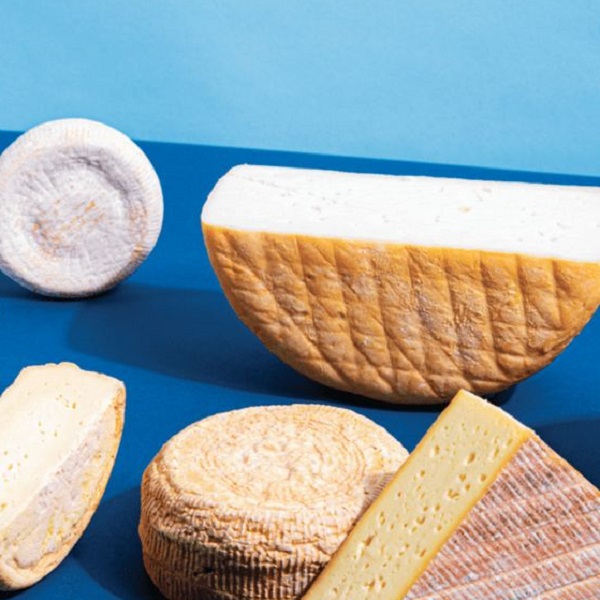 Explore the world of raw cheese