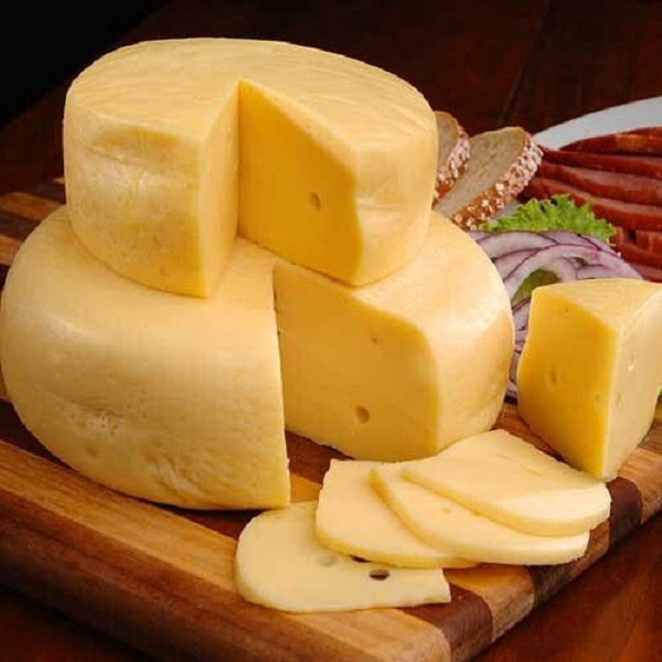 Discover the best way to store cheese 