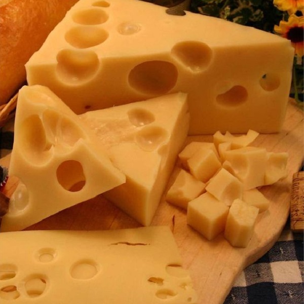 Discover the best way to store cheese 